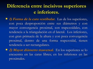 Diferencia entre incisivos superiores
            e inferiores.
   1) Forma de la cara vestibular. Las de los superiores,
    con poca desproporción entre sus diámetros y con
    mayor convergencia proximal, son trapezoidales, con
    tendencia a la triangulación en el lateral. Los inferiores,
    con gran primacía de la altura y con poca convergencia
    proximal, dentro de una forma trapezoidal, tienen
    tendencia a ser rectangulares.
   2) Mayor diámetro trasversal. En los superiores se lo
    encuentra en las caras libres; en los inferiores en las
    proximales.
 