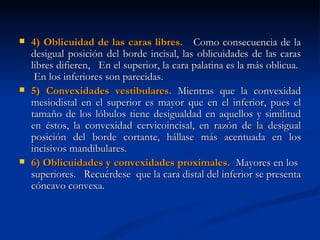    4) Oblicuidad de las caras libres. Como consecuencia de la
    desigual posición del borde incisal, las oblicuidades de las caras
    libres difieren, En el superior, la cara palatina es la más oblicua.
     En los inferiores son parecidas.
   5) Convexidades vestibulares. Mientras que la convexidad
    mesiodistal en el superior es mayor que en el inferior, pues el
    tamaño de los lóbulos tiene desigualdad en aquellos y similitud
    en éstos, la convexidad cervicoincisal, en razón de la desigual
    posición del borde cortante, hállase más acentuada en los
    incisivos mandibulares.
   6) Oblicuidades y convexidades proximales. Mayores en los
    superiores. Recuérdese que la cara distal del inferior se presenta
    cóncavo convexa.
 