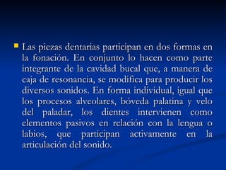    Las piezas dentarias participan en dos formas en
    la fonación. En conjunto lo hacen como parte
    integrante de la cavidad bucal que, a manera de
    caja de resonancia, se modifica para producir los
    diversos sonidos. En forma individual, igual que
    los procesos alveolares, bóveda palatina y velo
    del paladar, los dientes intervienen como
    elementos pasivos en relación con la lengua o
    labios, que participan activamente en la
    articulación del sonido.
 