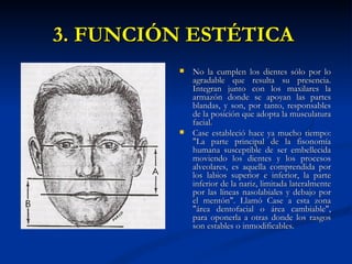 3. FUNCIÓN ESTÉTICA
            No la cumplen los dientes sólo por lo
             agradable que resulta su presencia.
             Integran junto con los maxilares la
             armazón donde se apoyan las partes
             blandas, y son, por tanto, responsables
             de la posición que adopta la musculatura
             facial.
            Case estableció hace ya mucho tiempo:
             "La parte principal de la fisonomía
             humana susceptible de ser embellecida
             moviendo los dientes y los procesos
             alveolares, es aquella comprendida por
             los labios superior e inferior, la parte
             inferior de la nariz, limitada lateralmente
             por las líneas nasolabiales y debajo por
             el mentón". Llamó Case a esta zona
             "área dentofacial o área cambiable",
             para oponerla a otras donde los rasgos
             son estables o inmodificables.
 