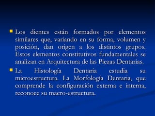    Los dientes están formados por elementos
    similares que, variando en su forma, volumen y
    posición, dan origen a los distintos grupos.
    Estos elementos constitutivos fundamentales se
    analizan en Arquitectura de las Piezas Dentarias.
   La     Histología     Dentaria      estudia    su
    microestructura. La Morfología Dentaria, que
    comprende la configuración externa e interna,
    reconoce su macro-estructura.
 