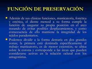 FUNCIÓN DE PRESERVACIÓN
   Además de sus clásicas funciones, masticatoria, fonética
    y estética, el diente merced a su forma cumple la
    función de asegurar su propia posición en el arco
    tratando de evitar posibles desplazamientos, y como
    consecuencia de ello mantiene la integridad de los
    tejidos paradentarios.
   Podemos dividir a la forma dentaría en dos grandes
    zonas; la primera está destinada específicamente al
    trabajo masticatorio, es de menor extensión, se ubica
    sobre la corona y corresponde a las áreas que pueden
    considerarse activas en la relación oclusal con los
    antagonistas.
 