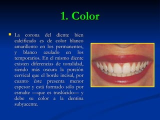 1. Color
   La corona del diente bien
    calcificado es de color blanco
    amarillento en los permanentes,
    y blanco azulado en los
    temporarios. En el mismo diente
    existen diferencias de tonalidad,
    siendo más oscura la porción
    cervical que el borde incisal, por
    cuanto éste presenta menor
    espesor y está formado sólo por
    esmalte —que es traslúcido— y
    debe su color a la dentina
    subyacente.
 
