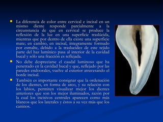    La diferencia de color entre cervical e incisal en un
    mismo diente responde parcialmente a la
    circunstancia de que en cervical se produce la
    reflexión de la luz en una superficie traslúcida,
    mientras que por dentro de ella existe una superficie
    mate; en cambio, en incisal, íntegramente formado
    por esmalte, debido a la traslucidez de este tejido
    parte del haz lumínico pasa al interior de la cavidad
    bucal y sólo una fracción es reflejada.
   No debe despreciarse el caudal luminoso que ha
    penetrado en la cavidad bucal y que, reflejado por las
    paredes endoorales, vuelve al exterior atravesando el
    borde incisal.
   También es importante consignar que la ordenación
    de los dientes, en forma de arco, y su relación con
    los labios, permiten visualizar mejor los dientes
    anteriores que son los mejor iluminados, razón por
    la cual los incisivos centrales aparecen como más
    blancos que los laterales y éstos a su vez más que los
    caninos.
 