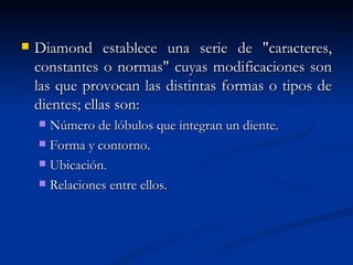    Diamond establece una serie de "caracteres,
    constantes o normas" cuyas modificaciones son
    las que provocan las distintas formas o tipos de
    dientes; ellas son:
     Número de lóbulos que integran un diente.
     Forma y contorno.

     Ubicación.

     Relaciones entre ellos.
 