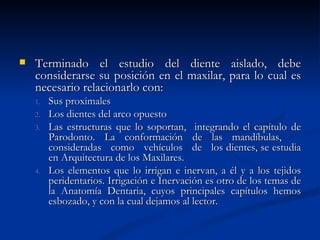    Terminado el estudio del diente aislado, debe
    considerarse su posición en el maxilar, para lo cual es
    necesario relacionarlo con:
    1.   Sus proximales
    2.   Los dientes del arco opuesto
    3.   Las estructuras que lo soportan, integrando el capítulo de
         Parodonto. La conformación de las mandíbulas,
         consideradas como vehículos de los dientes, se estudia
         en Arquitectura de los Maxilares.
    4.   Los elementos que lo irrigan e inervan, a él y a los tejidos
         peridentarios. Irrigación e Inervación es otro de los temas de
         la Anatomía Dentaria, cuyos principales capítulos hemos
         esbozado, y con la cual dejamos al lector.
 