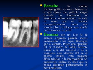    Esmalte:            Su      sombra
  roentgengráfíca se acerca bastante a
  la que ofrece una película virgen
  revelada. Su iluminación se
  manifiesta uniformemente en toda
  su     masa       que    se   traduce
  roentgráficamente        como     una
  sombra clara y brillante, que diseña
  perfectamente su perfil.
 Dentina: con un 17,5 % de
  materia orgánica, permite mayor
  penetración a los rayos Roentgen
  que el esmalte. Posee una opacidad
  (11 en e! índice de Pollia) bastante
  similar a la del cemento y de la
  compacta ósea alveolar (10 en el
  mismo índice). Esta pequeña
  diferenciación y la interposición del
  periodonto (índice 1), hace que se
  pueda delimitar perfectamente el
  perfil radicular.
 