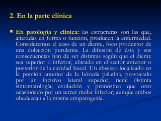 2. En la parte clínica

   En patología y clínica: las estructuras son las que,
    alteradas en forma o función, producen la enfermedad.
    Consideremos el caso de un diente, foco productor de
    una colección purulenta. La difusión de ésta y sus
    consecuencias han de ser distintas según que el diente
    sea superior o inferior, ubicado en el sector anterior o
    posterior de la cavidad bucal. Un absceso localizado en
    la porción anterior de la bóveda palatina, provocado
    por un incisivo lateral superior, tiene distinta
    sintomatología, evolución y pronóstico que otro
    ocasionado por un tercer molar inferior, aunque ambos
    obedezcan a la misma etiopatogenia.
 