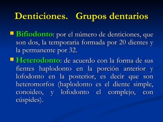 Denticiones. Grupos dentarios
   Bifiodonto: por el número de denticiones, que
  son dos, la temporaria formada por 20 dientes y
  la permanente por 32.
 Heterodonto: de acuerdo con la forma de sus
  fientes haplodonto en la porción anterior y
  lofodonto en la posterior, es decir que son
  heteromorfos (haplodonto es el diente simple,
  conoideo, y lofodonto el complejo, con
  cúspides).
 