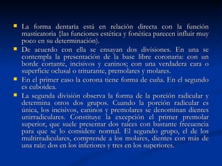    La forma dentaria está en relación directa con la función
    masticatoria {las funciones estética y fonética parecen influir muy
    poco en su determinación).
   De acuerdo con ella se ensayan dos divisiones. En una se
    contempla la presentación de la base libre coronaria: con un
    borde cortante, incisivos y caninos; con una verdadera cara o
    superficie oclusal o triturante, premolares y molares.
   En el primer caso la corona tiene forma de cuña. En el segundo
    es cuboidea.
   La segunda división observa la forma de la porción radicular y
    determina otros dos grupos. Cuando la porción radicular es
    única, los incisivos, caninos y premolares se denominan dientes
    unirradiculares. Constituye la excepción el primer premolar
    superior, que suele presentar dos raíces con bastante frecuencia
    para que se lo considere normal. El segundo grupo, el de los
    multirradiculares, comprende a los molares, dientes con más de
    una raíz: dos en los inferiores y tres en los superiores.
 