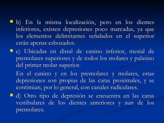    b) En la misma localización, pero en los dientes
    inferiores, existen depresiones poco marcadas, ya que
    los elementos delimitantes señalados en el superior
    están apenas esbozados.
   c) Ubicadas en distal de canino inferior, mesial de
    premolares superiores y de todos los molares y palatino
    del primer molar superior.
    En el canino y en los premolares y molares, estas
    depresiones son propias de las caras proximales, y se
    continúan, por lo general, con canales radiculares.
   d) Otro tipo de depresión se encuentra en las caras
    vestibulares de los dientes anteriores y aun de los
    premolares.
 