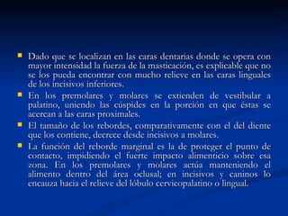    Dado que se localizan en las caras dentarias donde se opera con
    mayor intensidad la fuerza de la masticación, es explicable que no
    se los pueda encontrar con mucho relieve en las caras linguales
    de los incisivos inferiores.
   En los premolares y molares se extienden de vestibular a
    palatino, uniendo las cúspides en la porción en que éstas se
    acercan a las caras proximales.
   El tamaño de los rebordes, comparativamente con el del diente
    que los contiene, decrece desde incisivos a molares.
   La función del reborde marginal es la de proteger el punto de
    contacto, impidiendo el fuerte impacto alimenticio sobre esa
    zona. En los premolares y molares actúa manteniendo el
    alimento dentro del área oclusal; en incisivos y caninos lo
    encauza hacia el relieve del lóbulo cervicopalatino o lingual.
 