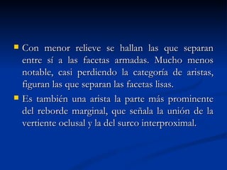    Con menor relieve se hallan las que separan
    entre sí a las facetas armadas. Mucho menos
    notable, casi perdiendo la categoría de aristas,
    figuran las que separan las facetas lisas.
   Es también una arista la parte más prominente
    del reborde marginal, que señala la unión de la
    vertiente oclusal y la del surco interproximal.
 