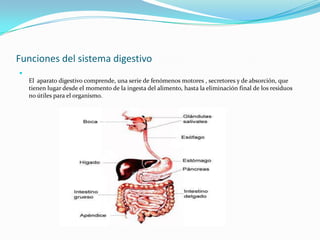 Funciones del sistema digestivo

    El aparato digestivo comprende, una serie de fenómenos motores , secretores y de absorción, que
    tienen lugar desde el momento de la ingesta del alimento, hasta la eliminación final de los residuos
    no útiles para el organismo.
 