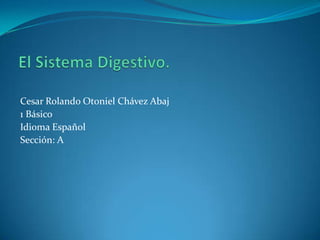 Cesar Rolando Otoniel Chávez Abaj
1 Básico
Idioma Español
Sección: A
 