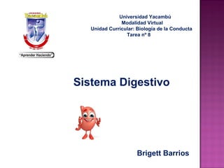 Universidad Yacambú
Modalidad Virtual
Unidad Curricular: Biología de la Conducta
Tarea nº 8
Brigett Barrios
Sistema Digestivo
 