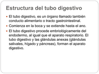 Estructura del tubo digestivo
 El tubo digestivo, es un órgano llamado también
conducto alimentario o tracto gastrointestinal.
 Comienza en la boca y se extiende hasta el ano.
 El tubo digestivo procede embriológicamente del
endodermo, al igual que el aparato respiratorio. El
tubo digestivo y las glándulas anexas (glándulas
salivales, hígado y páncreas), forman el aparato
digestivo.
 