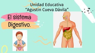 El sistema
Digestivo.
Unidad Educativa
“Agustin Cueva Dávila”
 