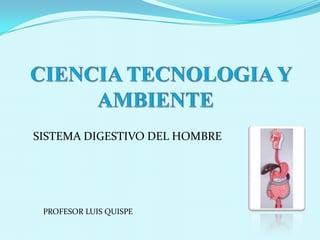   CIENCIA TECNOLOGIA Y AMBIENTE  SISTEMA DIGESTIVO DEL HOMBRE PROFESOR LUIS QUISPE 