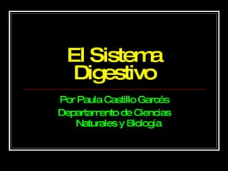 El Sistema Digestivo Por Paula Castillo Garcés Departamento de Ciencias Naturales y Biología 