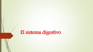 El sistema digestivo
 