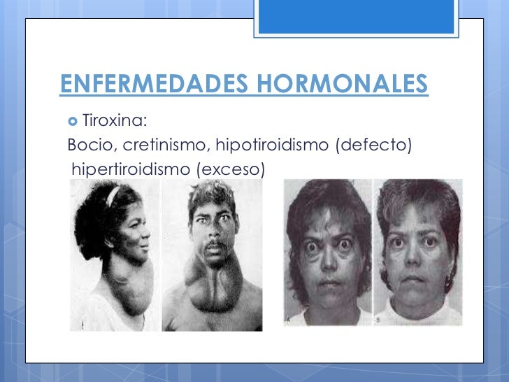 El sistema endocrino