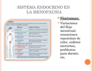 SISTEMA ENDOCRINO EN
LA MENOPAUSIA
 Síntomas:


Variaciones
del flujo
menstrual,
sensaciones
repentinas de
calor, sudores
nocturnos,
problemas
para dormir,
etc.

 