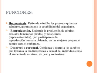 FUNCIONES:






Homeostasis. Estimula o inhibe los procesos químicos
celulares, garantizando la estabilidad del organismo.
- Reproducción. Estimula la producción de células
sexuales femeninas (óvulos) y masculinas
(espermatozoides), que participan en la
reproducción humana. Además, en las mujeres prepara el
cuerpo para el embarazo.
- Desarrollo corporal. Comienza y controla los cambios
que llevan a la madurez física y sexual del individuo, como
el aumento de estatura, de peso y contextura.

 