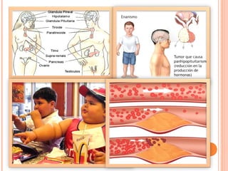 El sistema endocrino