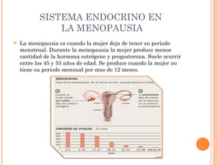 SISTEMA ENDOCRINO EN
LA MENOPAUSIA


La menopausia es cuando la mujer deja de tener su periodo
menstrual. Durante la menopausia la mujer produce menos
cantidad de la hormona estrógeno y progesterona. Suele ocurrir
entre los 45 y 55 años de edad. Se produce cuando la mujer no
tiene su periodo mensual por mas de 12 meses.

 