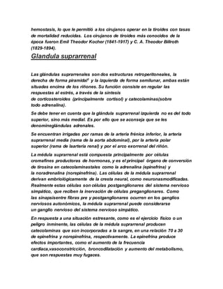 hemostasis, lo que le permitió a los cirujanos operar en la tiroides con tasas
de mortalidad reducidas. Los cirujanos de tiroides más conocidos de la
época fueron Emil Theodor Kocher (1841-1917) y C. A. Theodor Billroth
(1829-1894).
Glandula suprarrenal
Las glándulas suprarrenales son dos estructuras retroperitoneales, la
derecha de forma piramidal1 y la izquierda de forma semilunar, ambas están
situadas encima de los riñones. Su función consiste en regular las
respuestas al estrés, a través de la síntesis
de corticosteroides (principalmente cortisol) y catecolaminas(sobre
todo adrenalina).
Se debe tener en cuenta que la glándula suprarrenal izquierda no es del todo
superior, sino más medial. Es por ello que se aconseja que se les
denomineglándulas adrenales.
Se encuentran irrigadas por ramas de la arteria frénica inferior, la arteria
suprarrenal media (rama de la aorta abdominal), por la arteria polar
superior (rama de laarteria renal) y por el arco exorrenal del riñón.
La médula suprarrenal está compuesta principalmente por células
cromafines productoras de hormonas, y es el principal órgano de conversión
de tirosina en catecolaminastales como la adrenalina (epinefrina) y
la noradrenalina (norepinefrina). Las células de la médula suprarrenal
derivan embriológicamente de la cresta neural, como neuronasmodificadas.
Realmente estas células son células postganglionares del sistema nervioso
simpático, que reciben la inervación de células preganglionares. Como
las sinapsisentre fibras pre y postganglionares ocurren en los ganglios
nerviosos autonómicos, la médula suprarrenal puede considerarse
un ganglio nervioso del sistema nervioso simpático.
En respuesta a una situación estresante, como es el ejercicio físico o un
peligro inminente, las células de la médula suprarrenal producen
catecolaminas que son incorporadas a la sangre, en una relación 70 a 30
de epinefrina y norepinefrina, respectivamente. La epinefrina produce
efectos importantes, como el aumento de la frecuencia
cardíaca,vasoconstricción, broncodilatación y aumento del metabolismo,
que son respuestas muy fugaces.
 