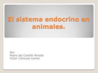El sistema endocrino en
        animales.



Por:
Pedro del Castillo Pereda
Víctor Cánovas Juárez
 
