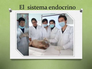El sistema endocrino
 