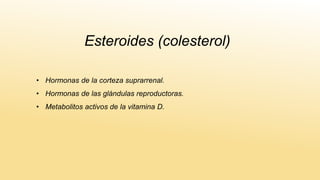 Esteroides (colesterol)
• Hormonas de la corteza suprarrenal.
• Hormonas de las glándulas reproductoras.
• Metabolitos activos de la vitamina D.
 