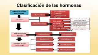 Clasificación de las hormonas
 