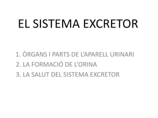 EL SISTEMA EXCRETOR 1. ÒRGANS I PARTS DE L’APARELL URINARI   2. LA FORMACIÓ DE L’ORINA   3. LA SALUT DEL SISTEMA EXCRETOR 