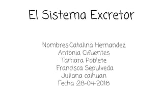 El Sistema Excretor
Nombres:Catalina Hernandez
Antonia Cifuentes
Tamara Poblete
Francisca Sepulveda
Juliana caihuan
Fecha :28-04-2016
 