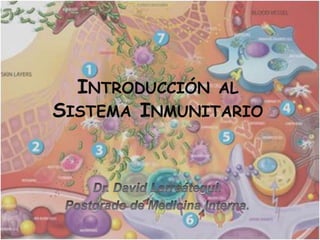 Introducción al Sistema Inmunitario Dr. David Larreátegui. Postgrado de Medicina Interna. 