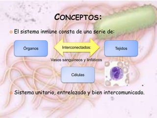 Conceptos:<br />El sistema inmune consta de una serie de: <br />Sistema unitario, entrelazado y bien intercomunicado.<br /...