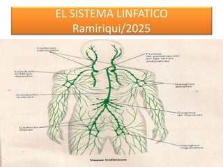 EL SISTEMA LINFATICO
Ramiriqui/2025
 