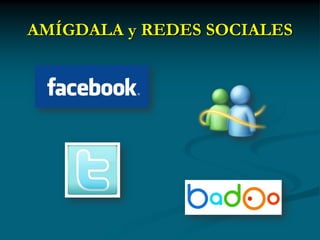 AMÍGDALA y REDES SOCIALES
 