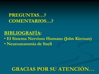 PREGUNTAS…?
  COMENTARIOS…?

BIBLIOGRAFÍA:
• El Sistema Nervioso Humano (John Kiernan)
• Neuroanatomía de Snell




   GRACIAS POR SU ATENCIÓN…
 