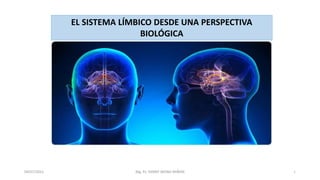 1
EL SISTEMA LÍMBICO DESDE UNA PERSPECTIVA
BIOLÓGICA
04/07/2021 Mg. Ps. FANNY WONG MIÑÁN
 