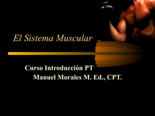 El Sistema Muscular Curso Introducción PT Manuel Morales M. Ed., CPT. 