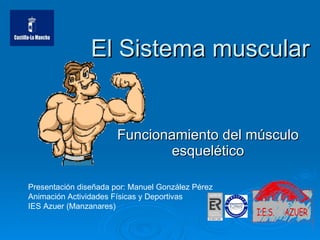 El Sistema muscular Funcionamiento del músculo esquelético Presentación diseñada por: Manuel González Pérez Animación Actividades Físicas y Deportivas IES Azuer (Manzanares) 