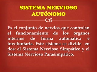 SISTEMA NERVIOSO
AUTÓNOMO



Es el conjunto de nervios que controlan
el funcionamiento de los órganos
internos de forma automática e
involuntaria. Este sistema se divide en
dos: el Sistema Nervioso Simpático y el
Sistema Nervioso Parasimpático.

 