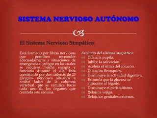 SISTEMA NERVIOSO AUTÓNOMO


El Sistema Nervioso Simpático:
Está formado por fibras nerviosas
que
permiten
responder
adecuadamente a situaciones de
emergencia o peligro en las cuales
se requiere mucha energía y
funciona durante el día .Esta
constituido por dos cadenas de 23
ganglios nerviosos situados a
ambos lados de la columna
vertebral que se ramifica hacia
cada uno de los órganos que
controla este sistema.

Acciones del sistema simpático:
 Dilata la pupila.
 Inhibe la salivación.
 Acelera el ritmo del corazón.
 Dilata los Bronquios.
 Disminuye la actividad digestiva.
 Estimula que la glucosa se
almacene al hígado.
 Disminuye el peristaltismo.
 Relaja la vejiga.
 Relaja los genitales externos.

 