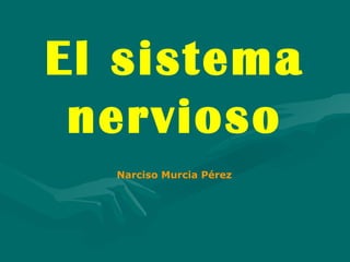 El sistema nervioso Narciso Murcia Pérez 