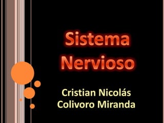 Cristian Nicolás
Colivoro Miranda

 