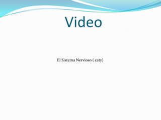 Video
El Sistema Nervioso ( caty)

 